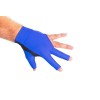 Handschuh 