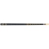 Billard Queue Set 