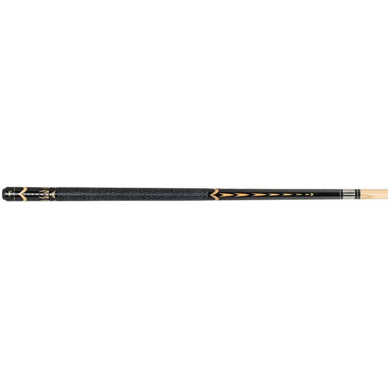 Billard Queue Set 